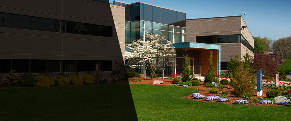Canon Landscapers