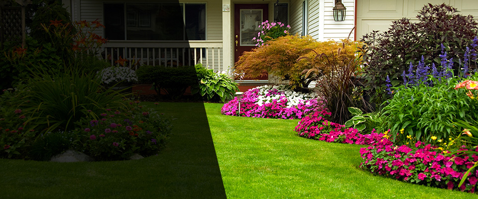 Canon Landscapers