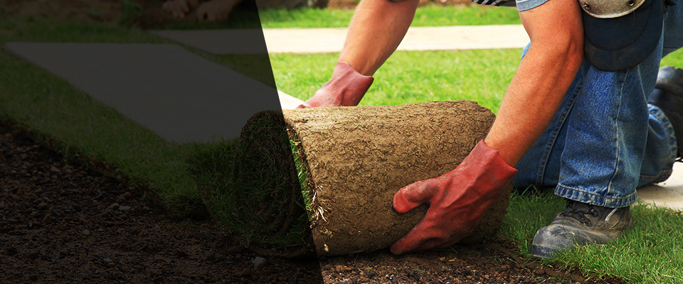 Canon Landscapers
